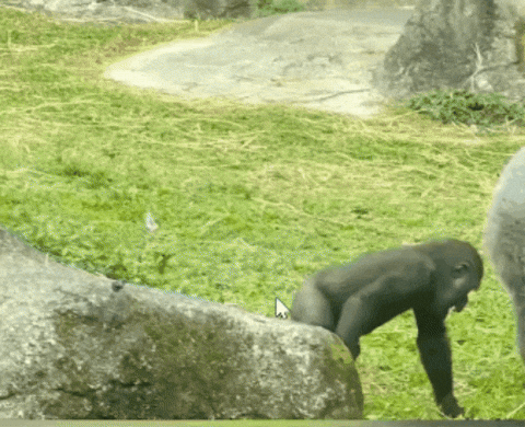GIF by Gifs Lab