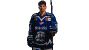 Fleischer Sticker by Straubing Tigers