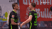 Football Sport GIF by VfL Wolfsburg