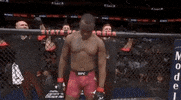 ufc sports sport ufc mma GIF