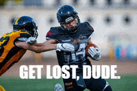 pantherswroclaw panthers wroclaw pantherswroclaw GIF