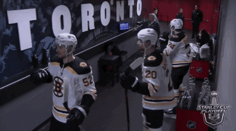 ice hockey sport GIF by NHL