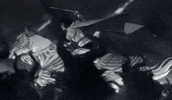 Horse Blizzard GIF by Xbox