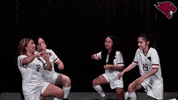 College Sports Sport GIF by CUCougars