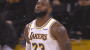 excited lebron james GIF by NBA