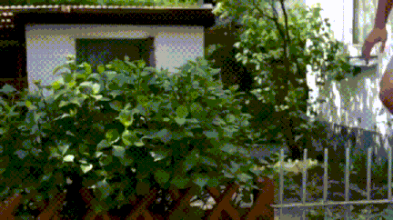 Angry Hulk GIF by Bonjwa