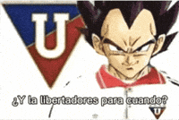 Liga De Quito Soccer GIF