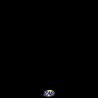 zab_oficial  GIF