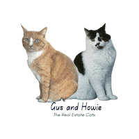 Cats Tacos Sticker by Kim Tarbox, Realtor at Maine Life Real Estate brokered by eXp