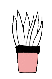 Cat Sticker