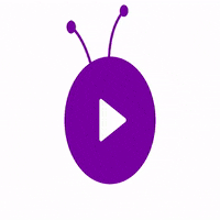 OnFlowStudio video rec audiovisual onflowstudio GIF