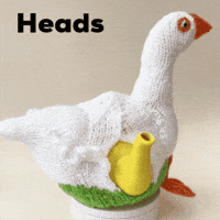 White Bird Duck GIF by TeaCosyFolk