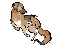 Mixed Breed Cat Sticker
