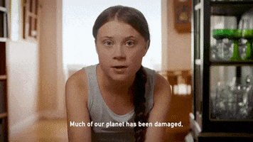 news climate change climate crisis greta thunberg global climate strike GIF
