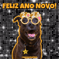 Dog Pet GIF