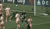 Celebrate New York GIF by National Women's Soccer League