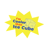 Cooler Sticker by Vooya