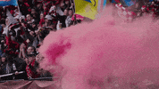 Womens Soccer Sport GIF by National Women's Soccer League