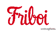maturattafriboi friboi do chef friboi 1953 friboi maturatta friboi Sticker