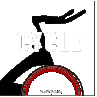 Workout Spinning Sticker by Power Sculpt Fitness