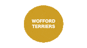 woco conquer Sticker by Wofford College Men's Basketball