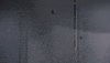 watching white christmas GIF