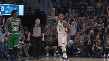 Nba Playoffs Sport GIF by NBA