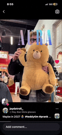Teddy Tim GIF