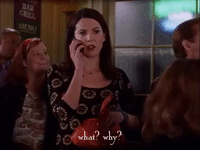 season 2 netflix GIF by Gilmore Girls 
