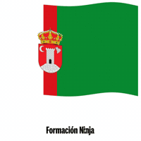 Flag Spain GIF by Formación Ninja