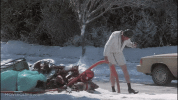 national lampoons christmas vacation GIF