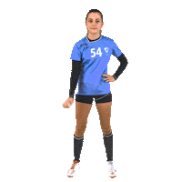 Team Handball Sticker by RK Krim