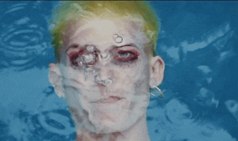 my favorite fish GIF by Gus Dapperton