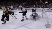happy 2019 stanley cup finals GIF by NHL