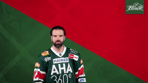 Del Lamb GIF by Augsburger Panther Eishockey GmbH