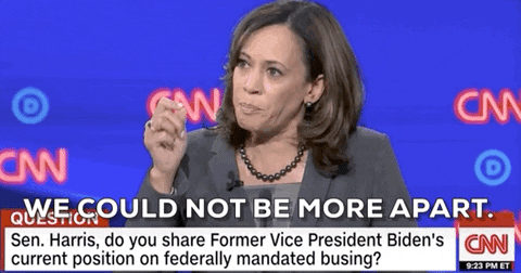 Kamala Harris Dnc Debates 2019 GIF by GIPHY News