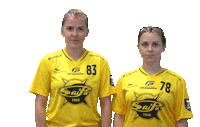 Floorball Salibandy Sticker by F-liiga