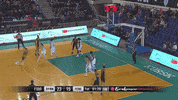 euroleague women basketball GIF by Cecilia Zandalasini