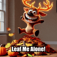 elkijahspark fall autumn leaves seasonal events GIF