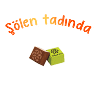 Cikolata Solen Sticker by Ozmo