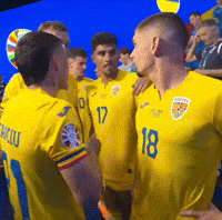 Euro Romania GIF