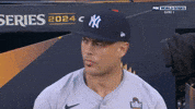 World Series Sport GIF by MLB