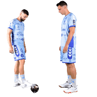 Football Sport Sticker by CchartresMHB