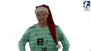 Merry Christmas Sport GIF by LIQUI MOLY HBL