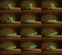 Stop Motion Bug GIF by PES