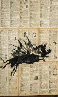 vinicicruz animal ink vulture muybridge GIF