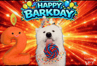 Benji Barkday GIF
