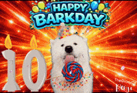Benji 10Th GIF