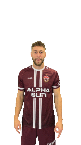 Celebration Goal Sticker by BFC Dynamo