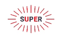einsteinConcept super sketchup Sticker